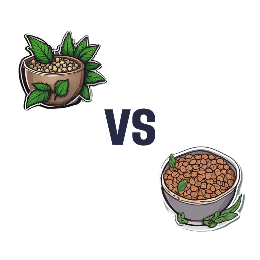 Hemp Seeds vs Flax Seeds Which is Healthier? 10almonds