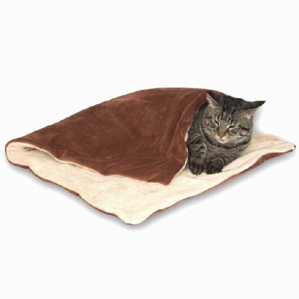 10 Best Pet Accessories