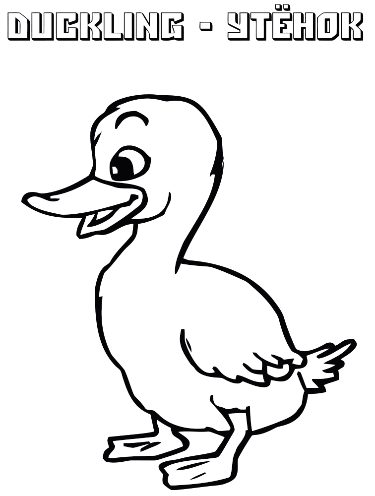 Dibujos de patos para colorear e imprimir Dibujos de patos para colorear e imprimir