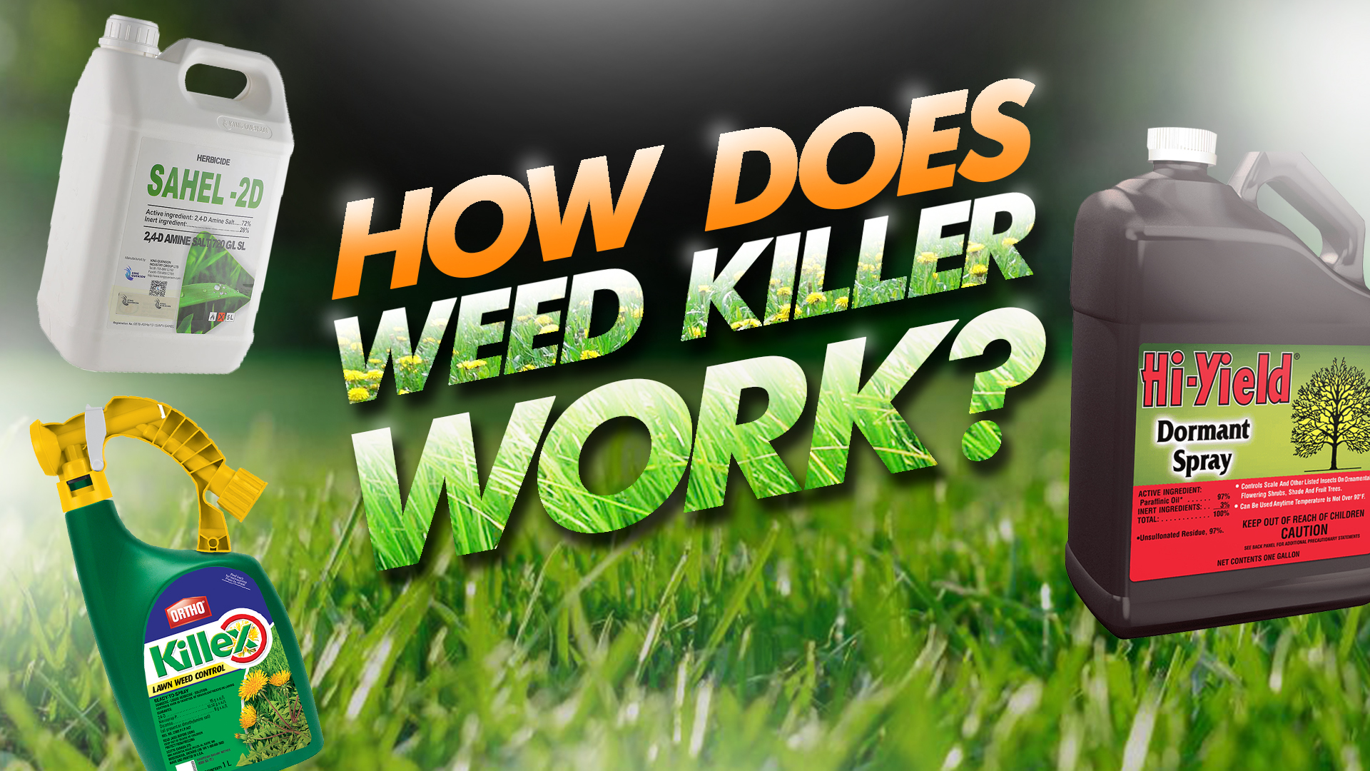 When and How to Apply Weed Killer on Lawn Lawn Garden Tips