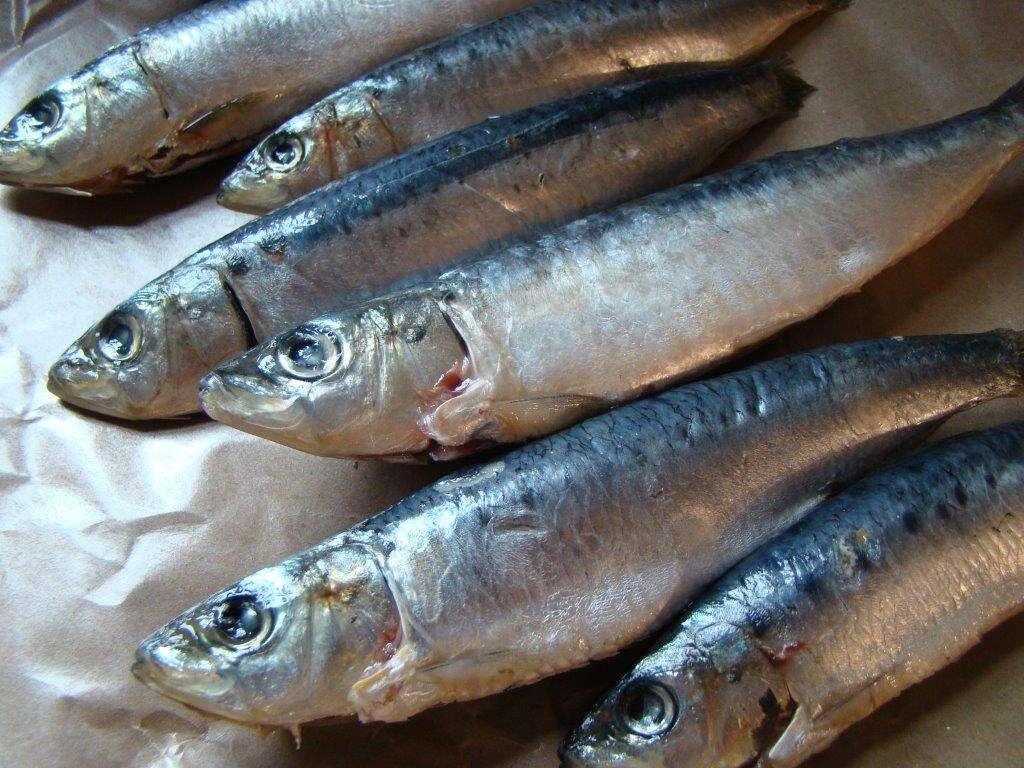 Iron 10 Foods High in Iron