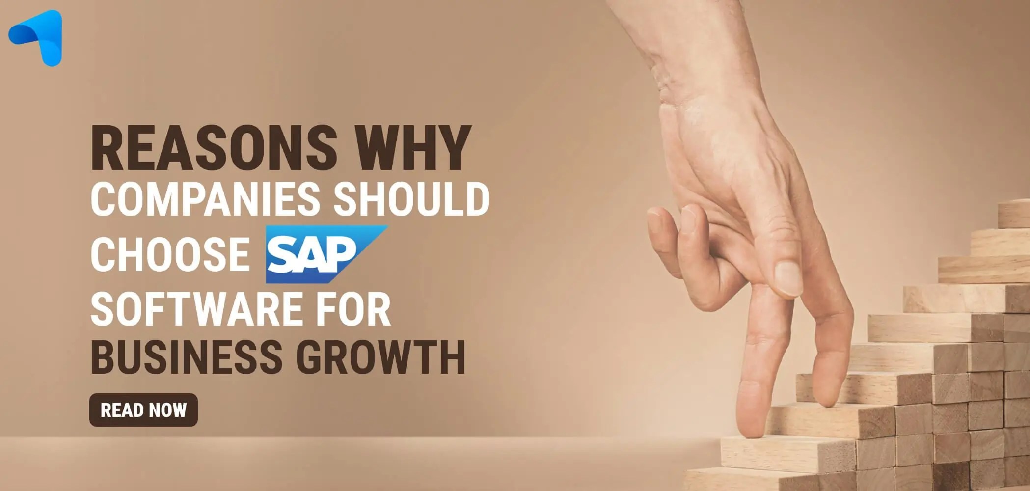 Reasons Why Companies Should Choose SAP Software for Business Growth