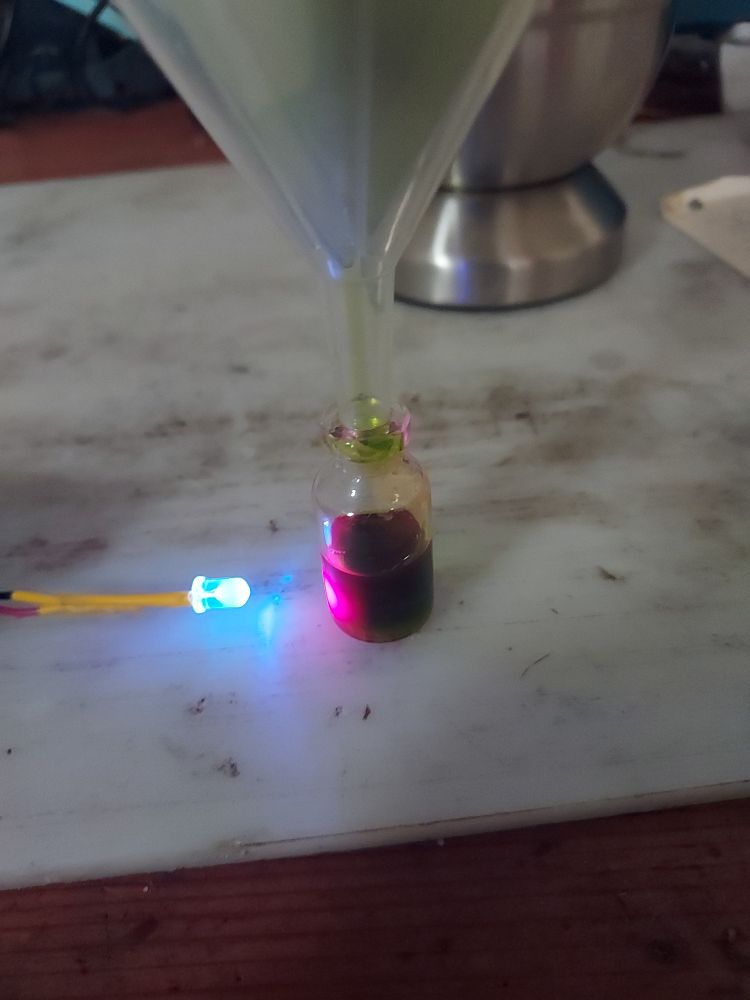 Red fluorescence from chlorophyll thin threads