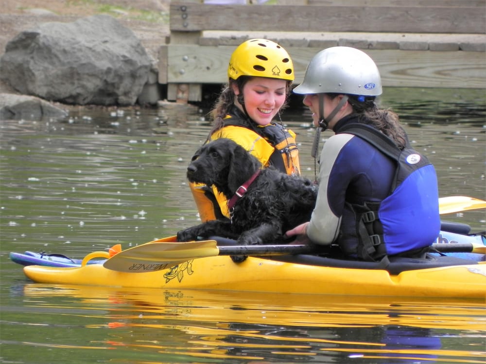 The Most Petfriendly Cities in 2020 10 Most Today