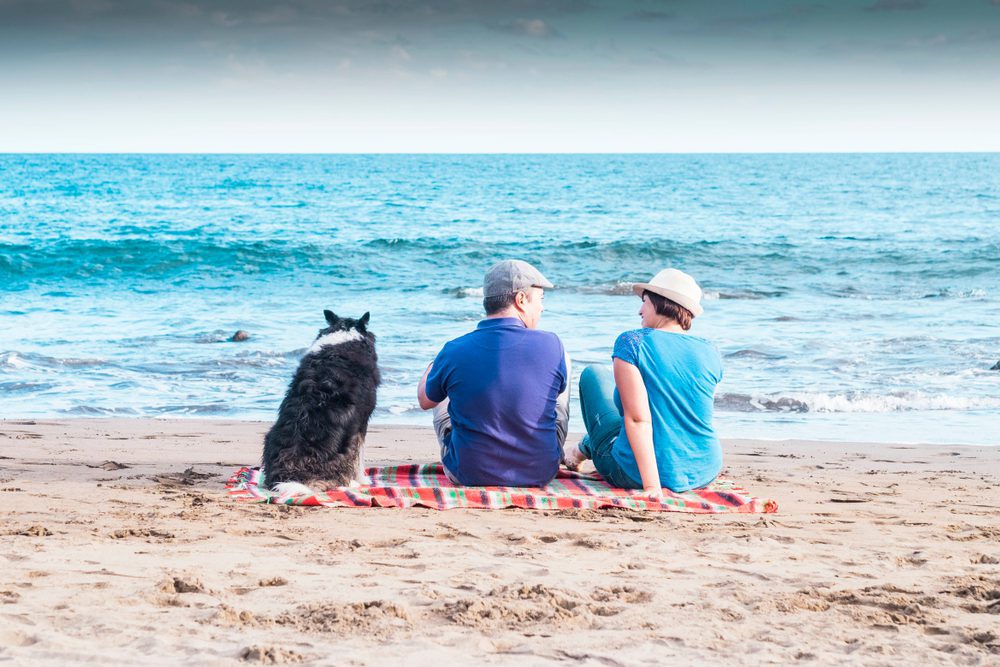 10 Most DogFriendly Places in the US 10 Most Today