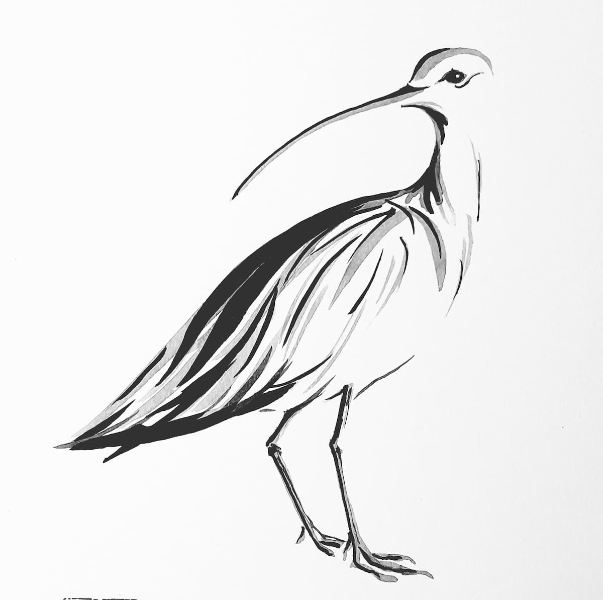 Victoria Ward 10 Parishes Gallery