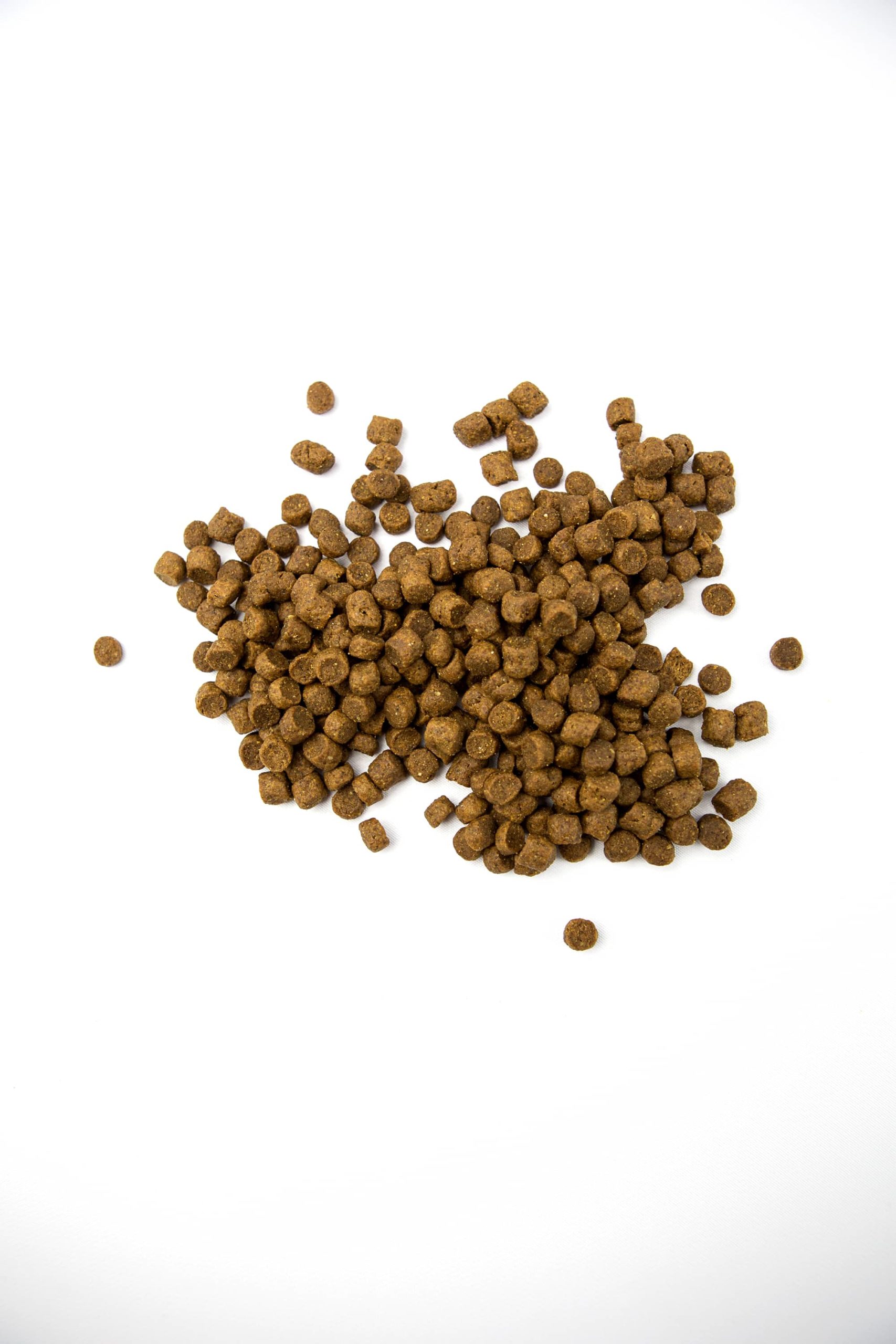 ADVANCE Ultra Super Premium Dog Food 10² Racing