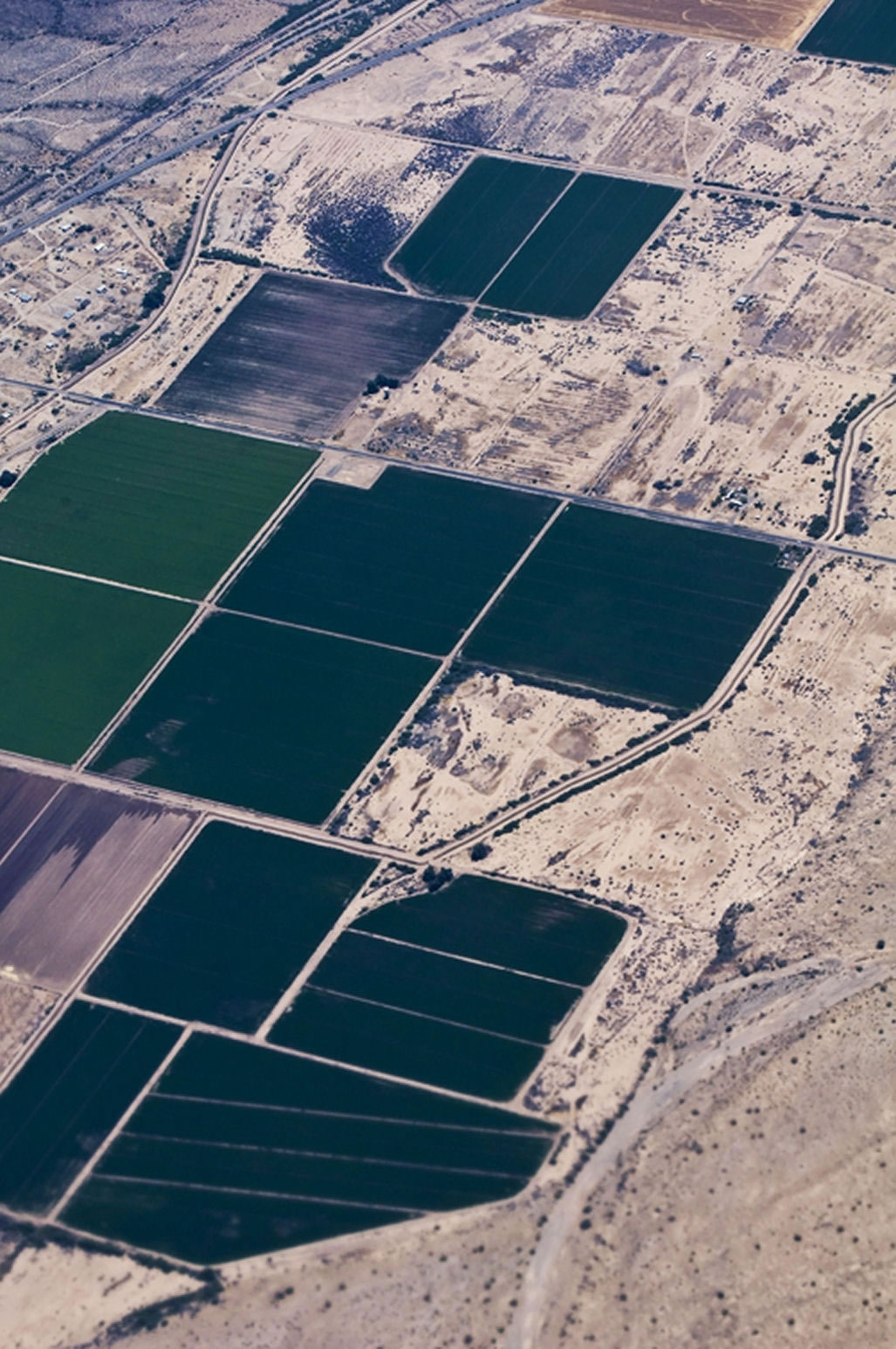 Tipos de Agricultura 2022