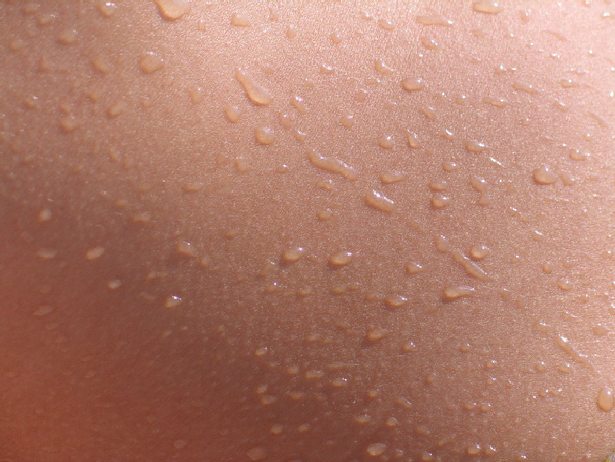 Tipos de Piel Tipos de