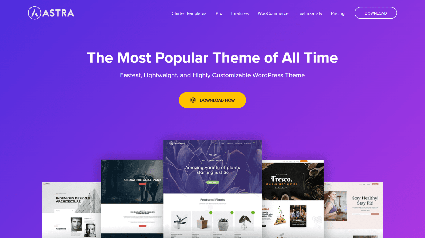 11 Awesome Websites Made with WordPress (2023) 10Web