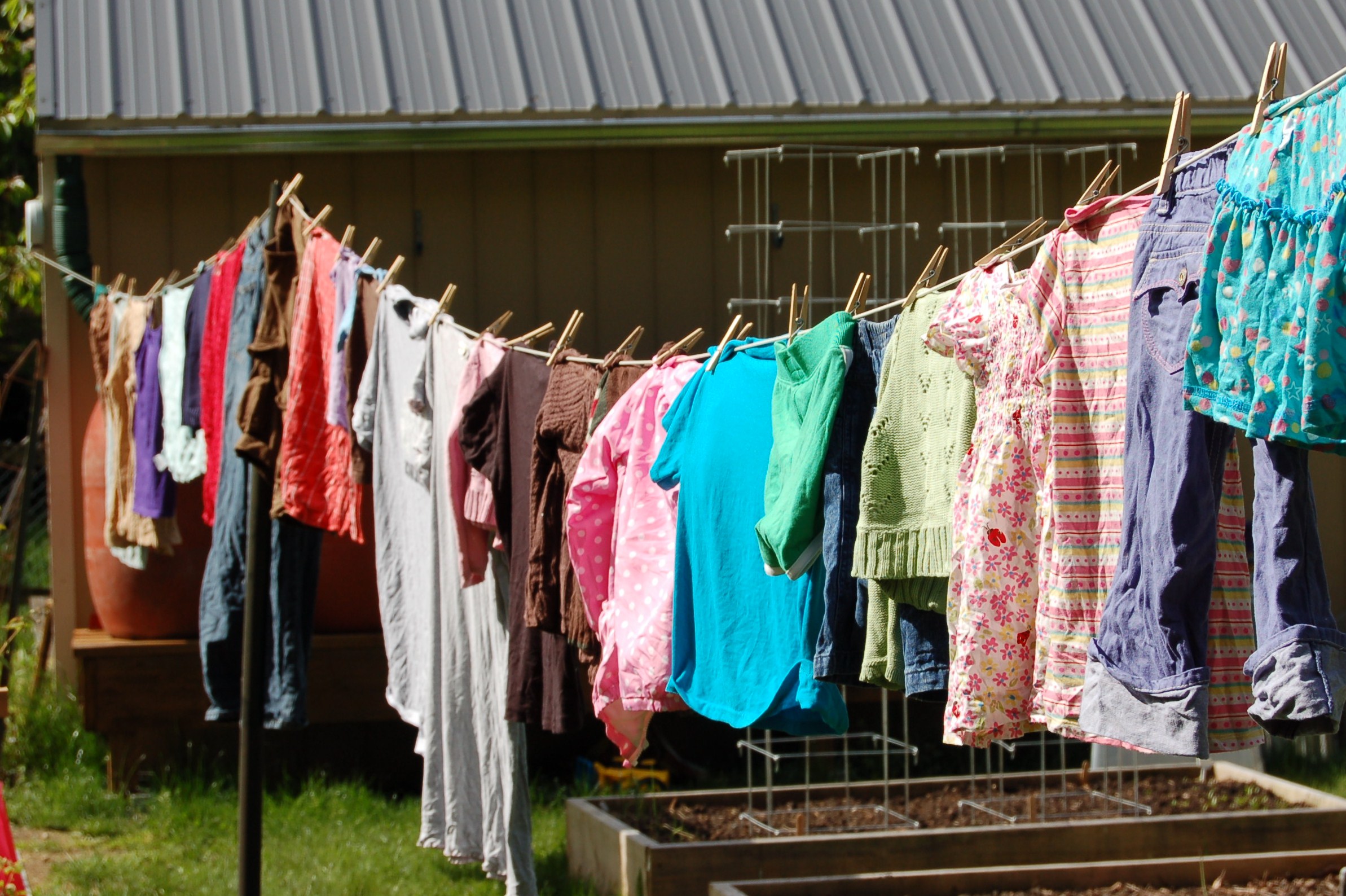 Clothesline season, garden disappointments, and corn The 10 Year