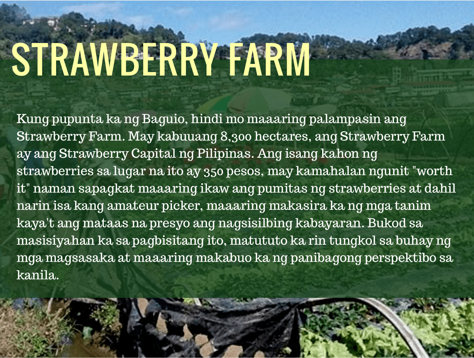 LAKBAY SANAYSAY 1 SA PAGLISAN NG AMIHAN