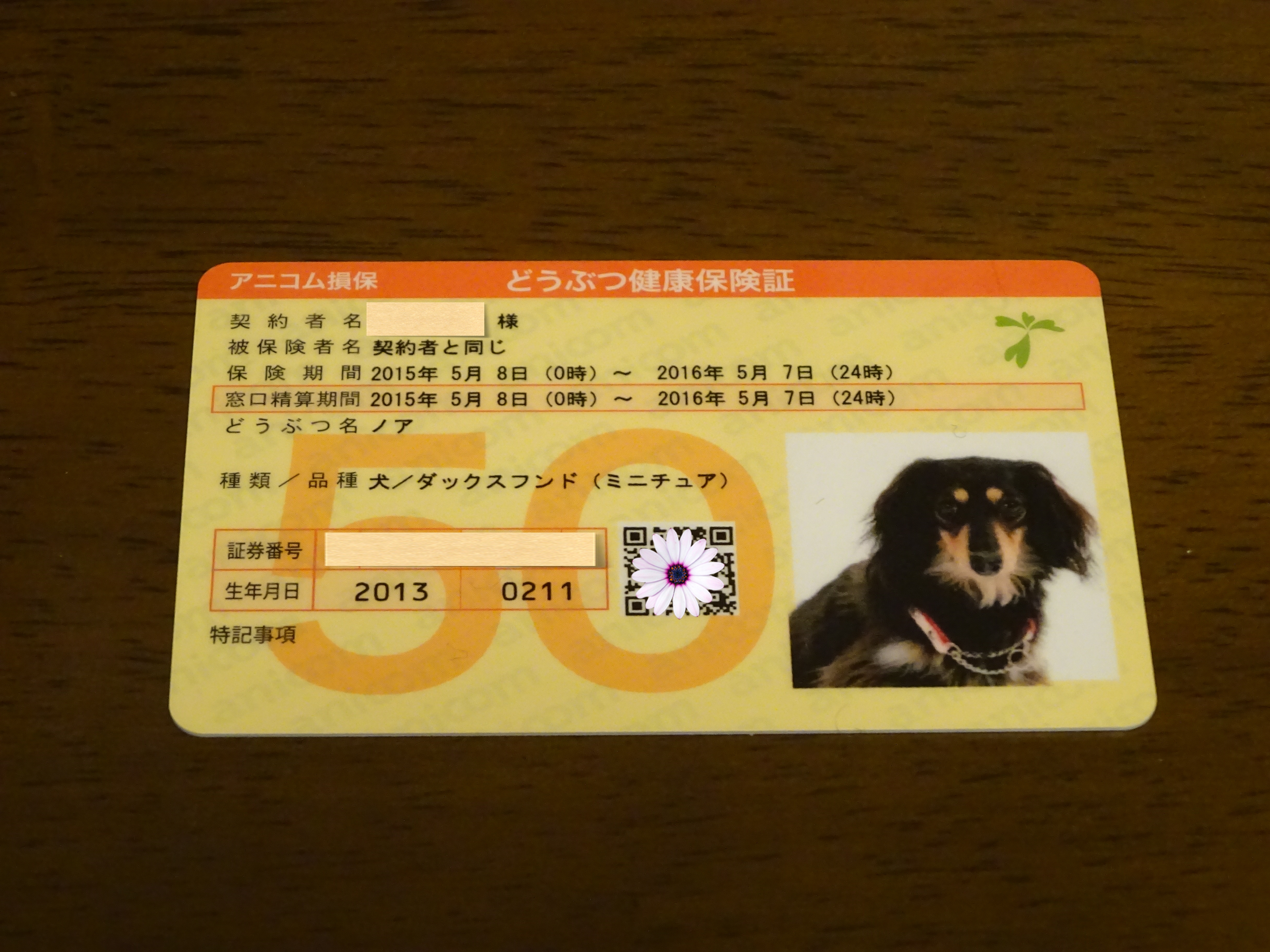新しい保険証 ノアの大冒険ミニチュアダックス"ノア"のブログ