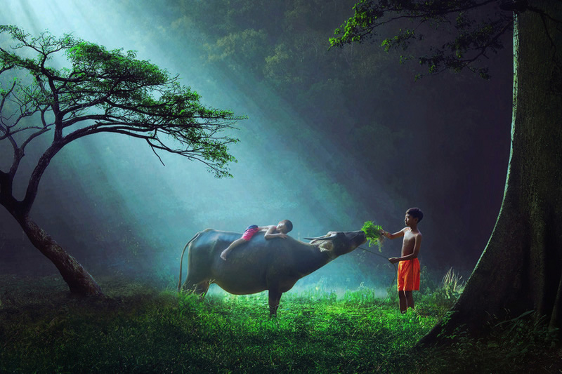 Dramatic Art Photography By Sukron Mamun Which Will Leave You Speechless