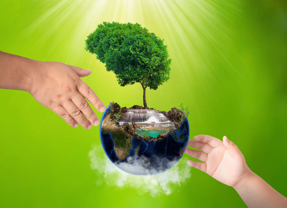 Nature vs Nurture Teenager’s Upbringing Impact Environmental Attitudes