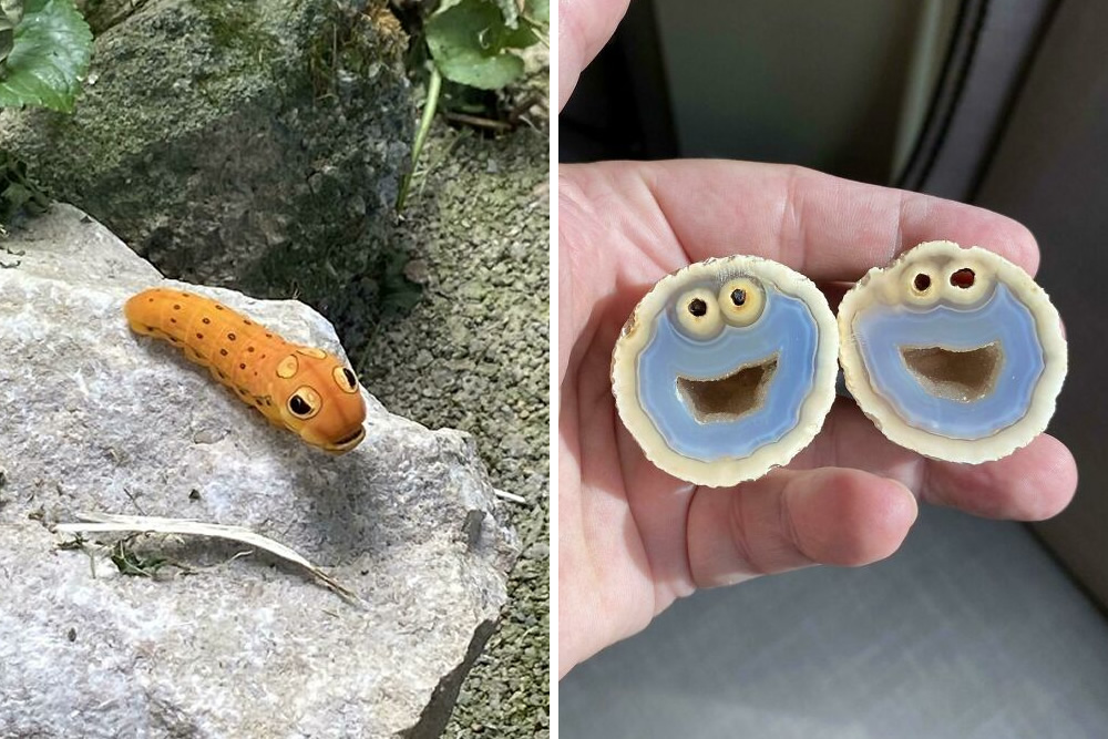 30 Photos Of Surprising Things In Unexpected Places