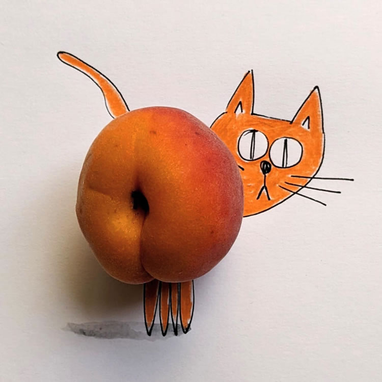 Artist Romain Joly Combines Daily Life Objects With Drawings To Create