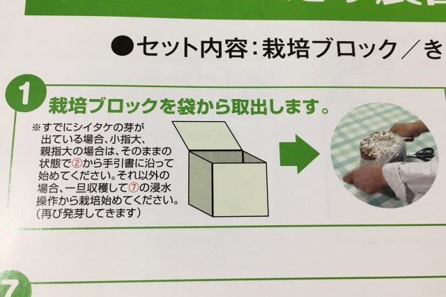 自分で育てるしいたけの味は格別！ 栽培方法は？ 子どものための室内遊びと工作｜ウェルのブログ