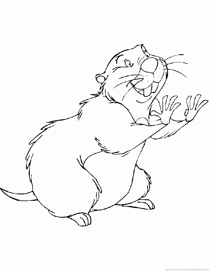 Gopher Coloring Pages Kidsuki Gopher Coloring Pages Kidsuki