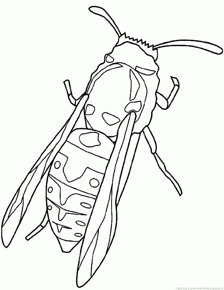 Download 234+ Animals Insects Coloring Pages PNG PDF File