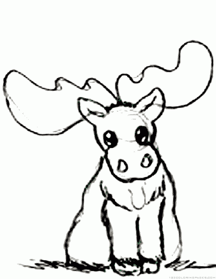 Moose Coloring Pages Part 4