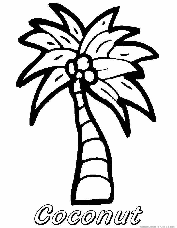 Outline Picture Of Coconut Tree Beach, coconut, palm