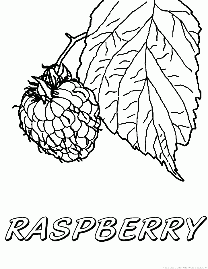 Raspberry Coloring Pages Part 2