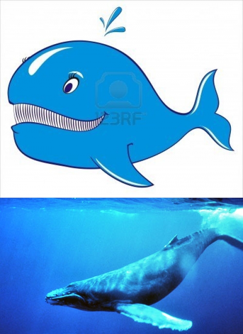 Cuanto mide la ballena azul