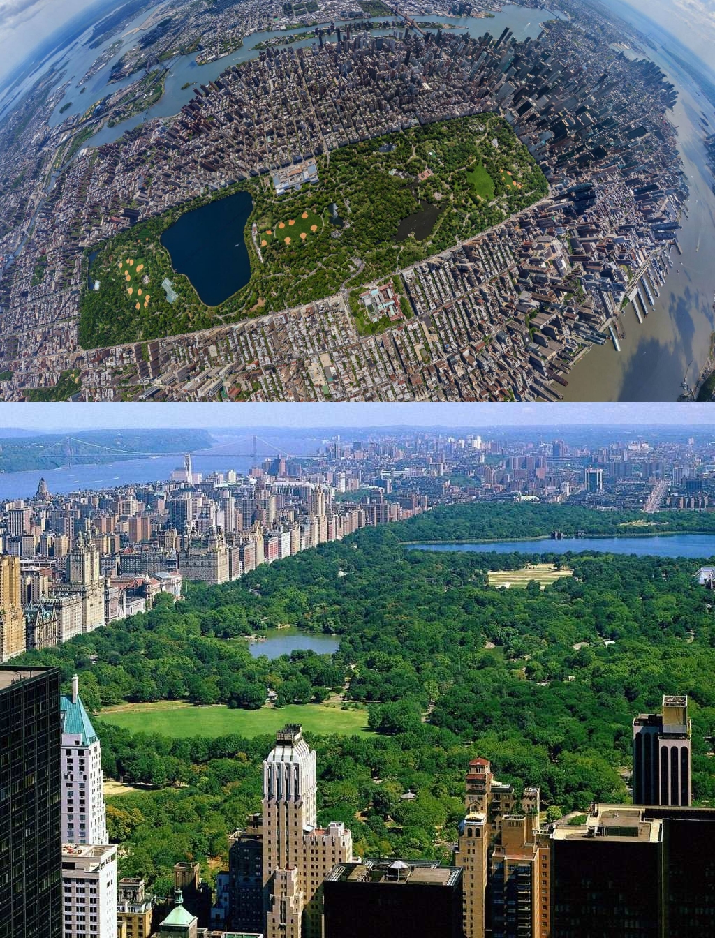 Cuanto mide Central Park