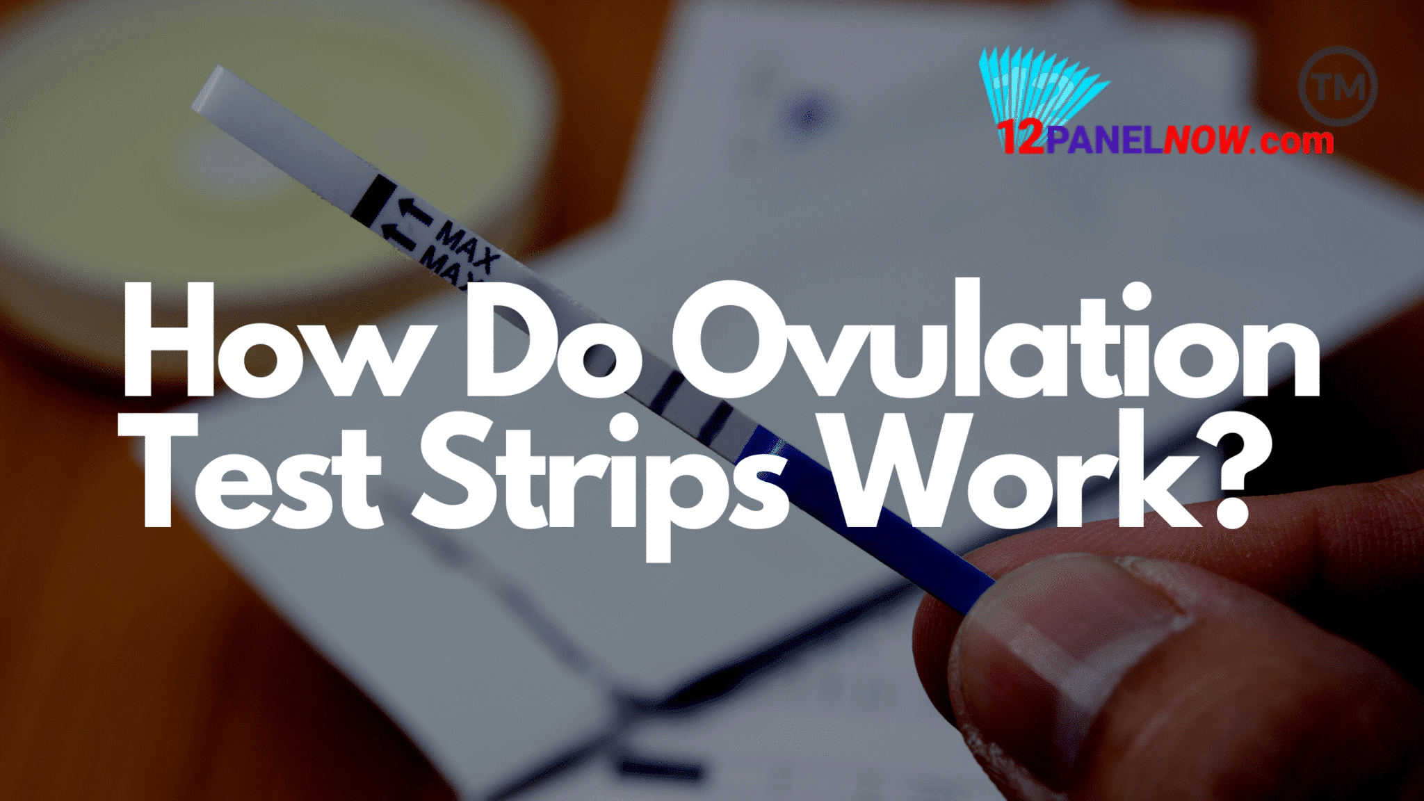 Ovulation FAQ 12 Panel Now