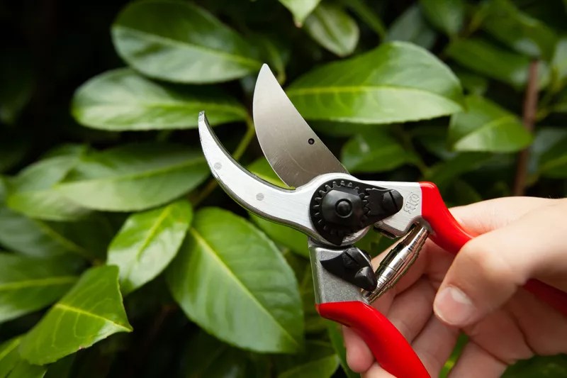 The 9 Best Pruners of 2023, According to a Master Gardener 12 Rack