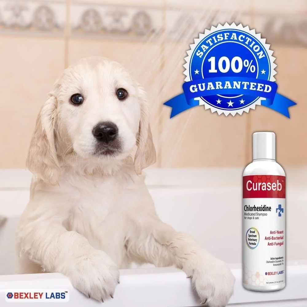 BEXLEY LABS Curaseb Antifungal & Antibacterial Chlorhexidine Shampoo