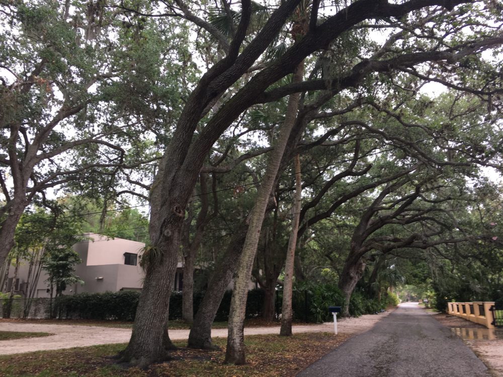 1331 Quail Drive Sarasota 34231 West of Trail Home for Sale Siesta Key