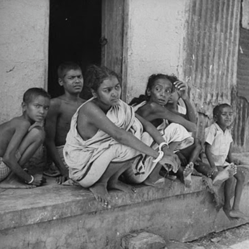 The Bengal Famine Who’s to Blame? The 1440 Review