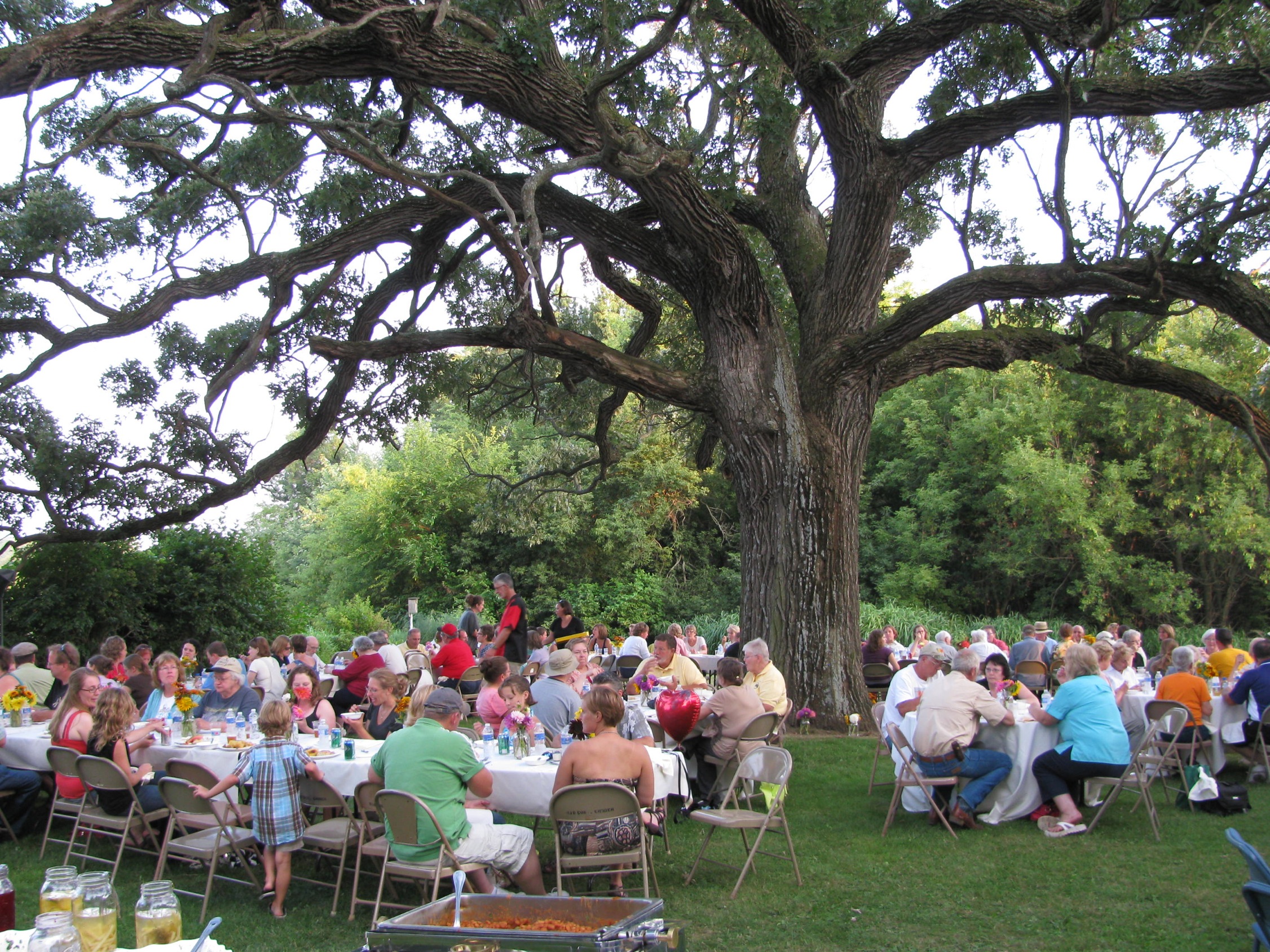 This Week on the Farm 8/9 Burr Oak Gardens, LLC
