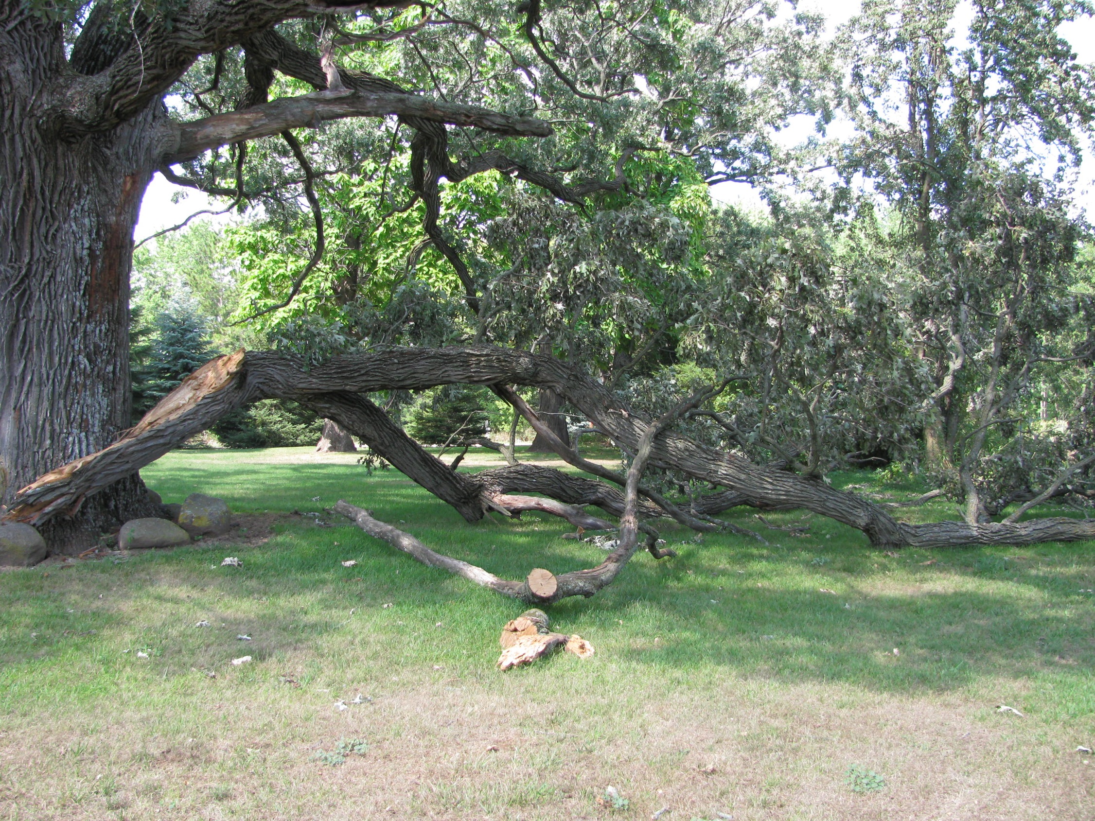 This Week on the Farm 7/31 Burr Oak Gardens, LLC