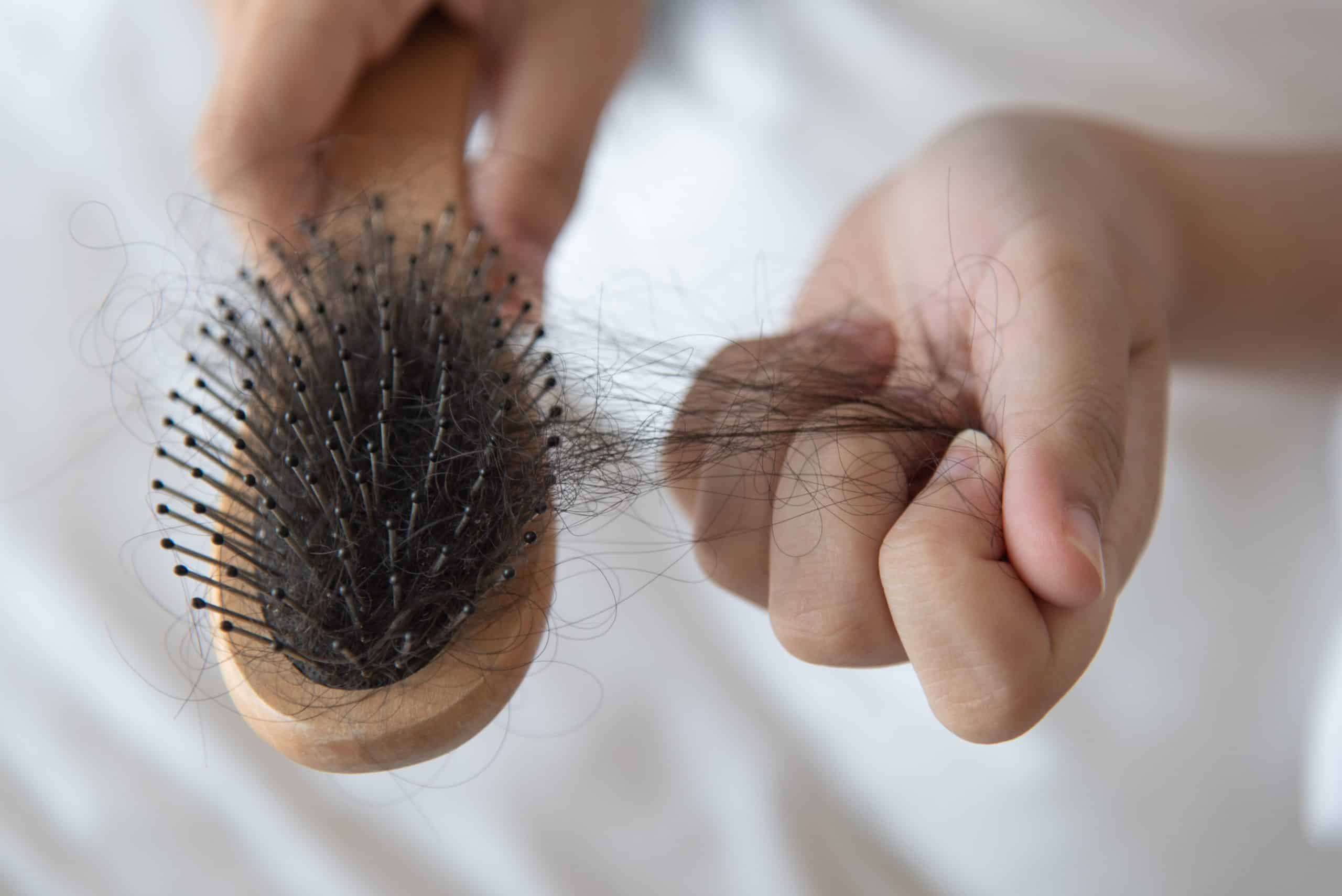 Does Menopause Make Your Hair Fall Out? Revolution Gray Does Menopause Make Your Hair Fall Out? Revolution Gray
