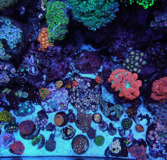 Natural Seawater (Sea Water) Supplier NSW Delivered Nationwide