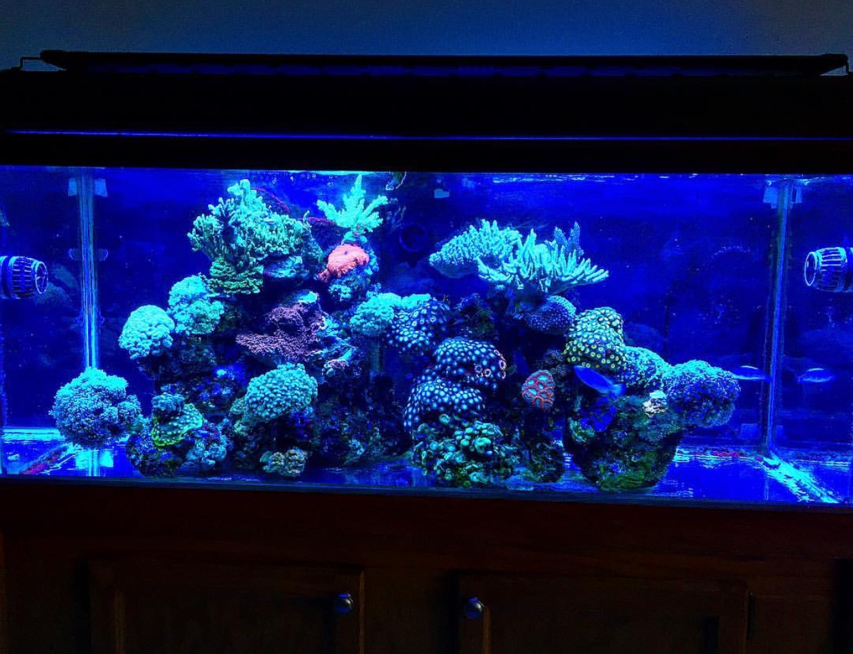 Natural Seawater (Sea Water) Supplier NSW Delivered Nationwide