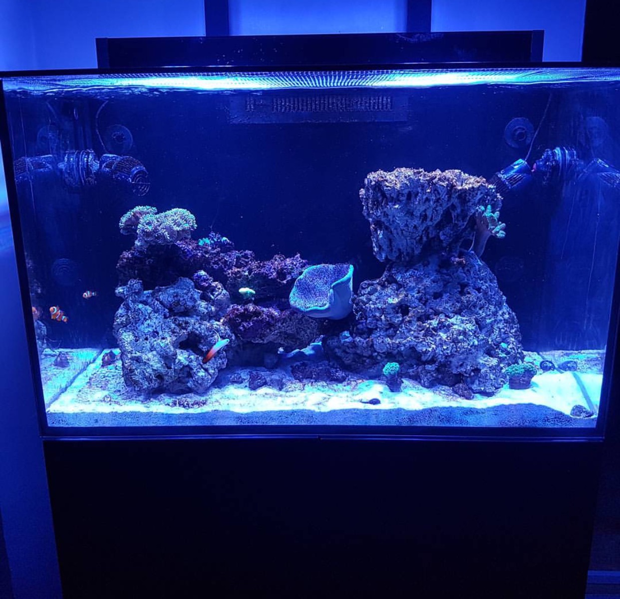 Natural Seawater (Sea Water) Supplier NSW Delivered Nationwide