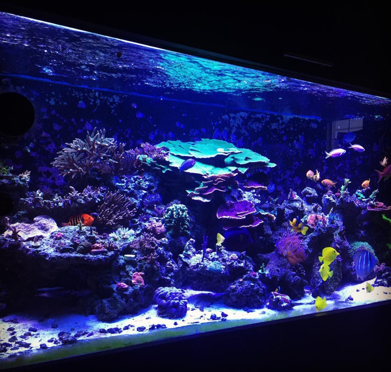 Natural Seawater (Sea Water) Supplier NSW Delivered Nationwide