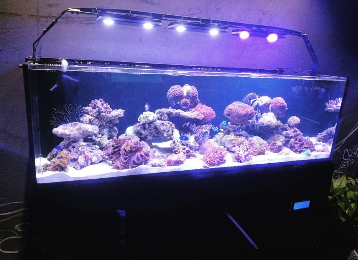 Natural Seawater (Sea Water) Supplier NSW Delivered Nationwide