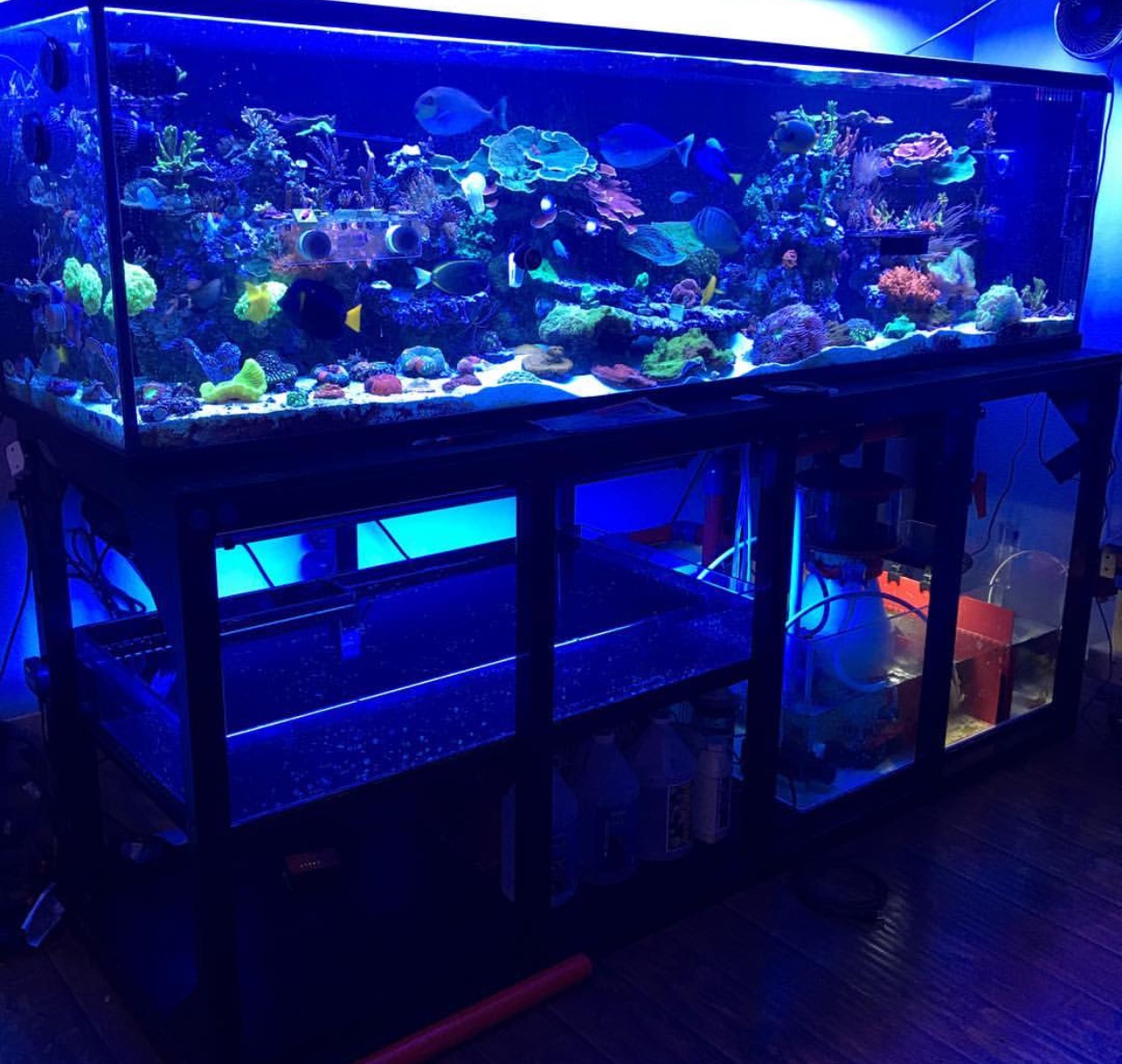 Natural Seawater (Sea Water) Supplier NSW Delivered Nationwide