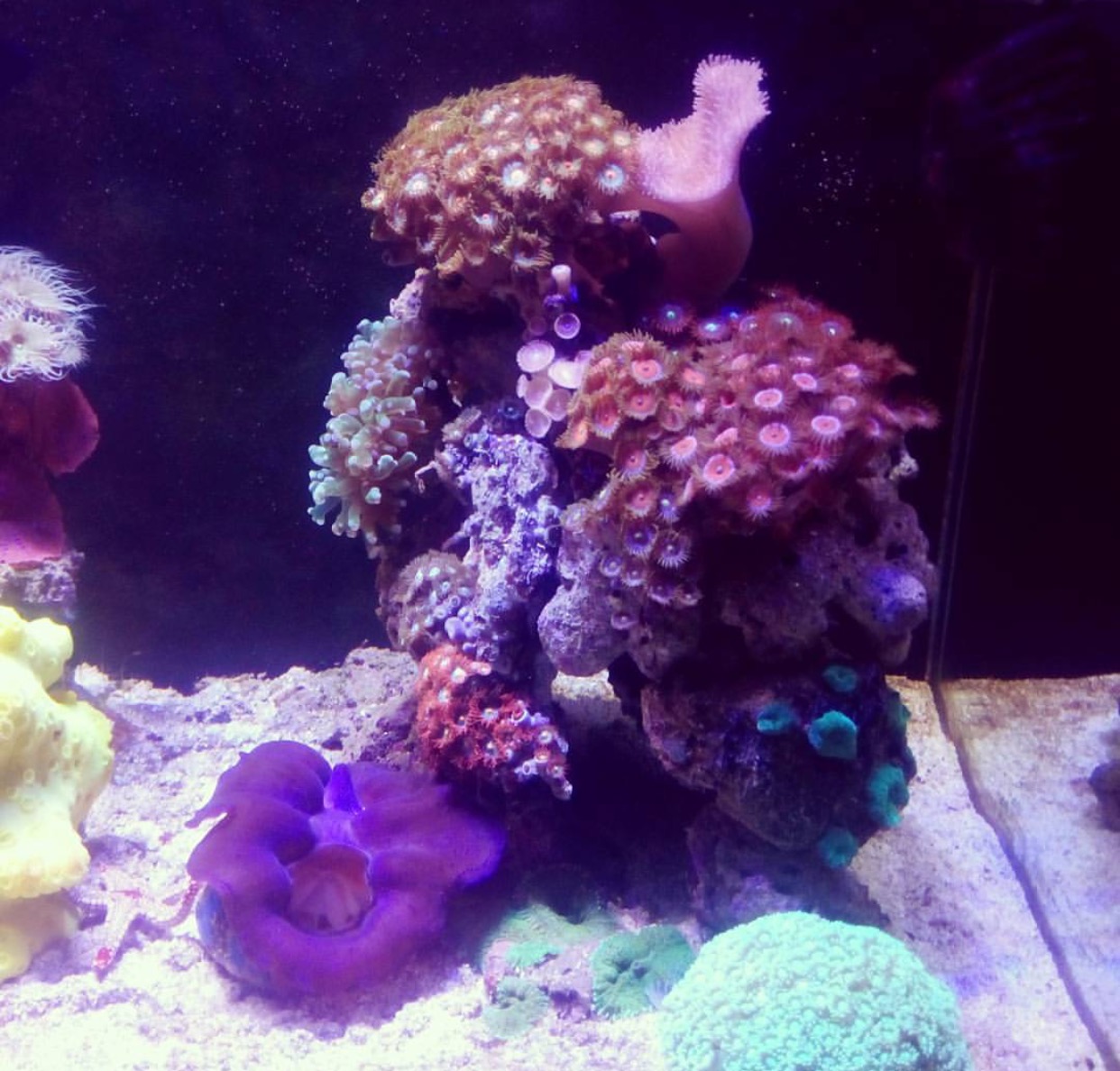 Natural Seawater (Sea Water) Supplier NSW Delivered Nationwide