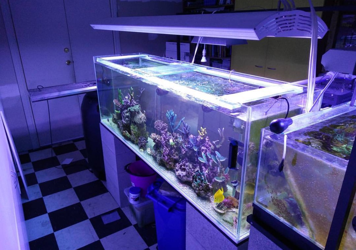 Natural Seawater (Sea Water) Supplier NSW Delivered Nationwide