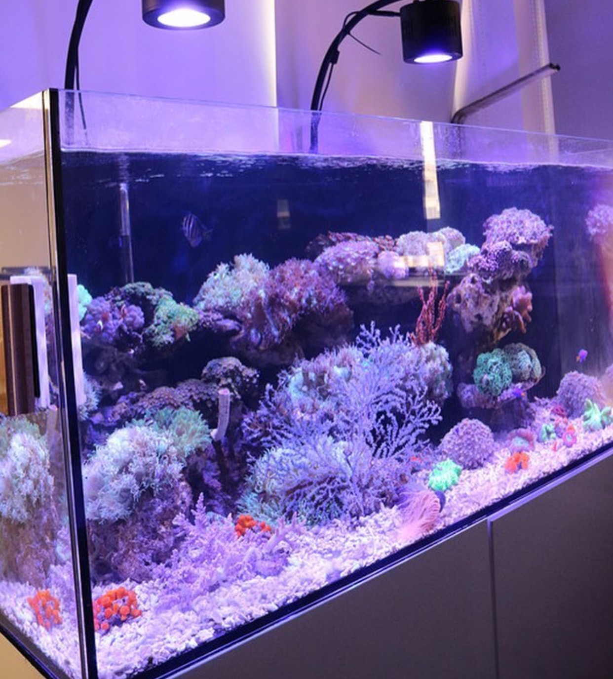 Natural Seawater (Sea Water) Supplier NSW Delivered Nationwide