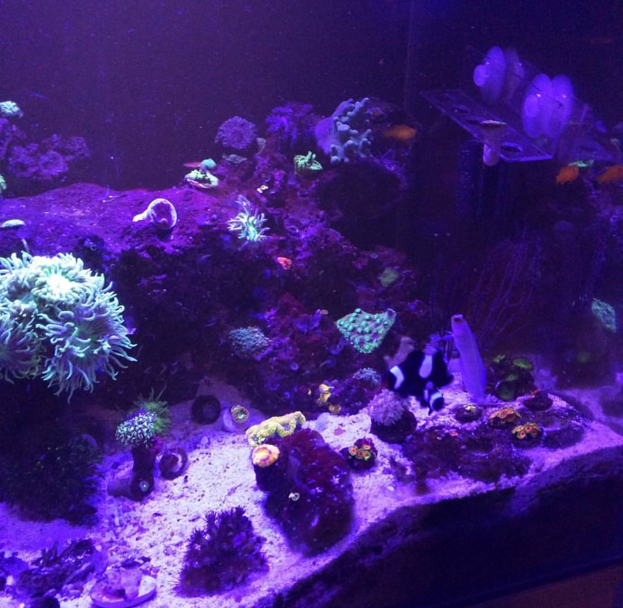 Natural Seawater (Sea Water) Supplier NSW Delivered Nationwide