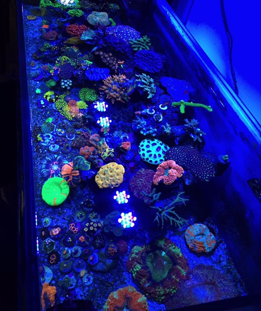 Natural Seawater (Sea Water) Supplier NSW Delivered Nationwide