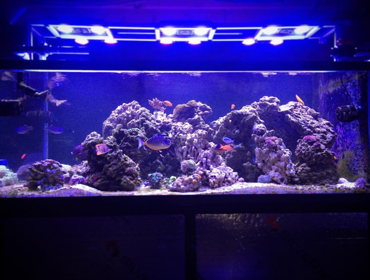 Natural Seawater (Sea Water) Supplier NSW Delivered Nationwide