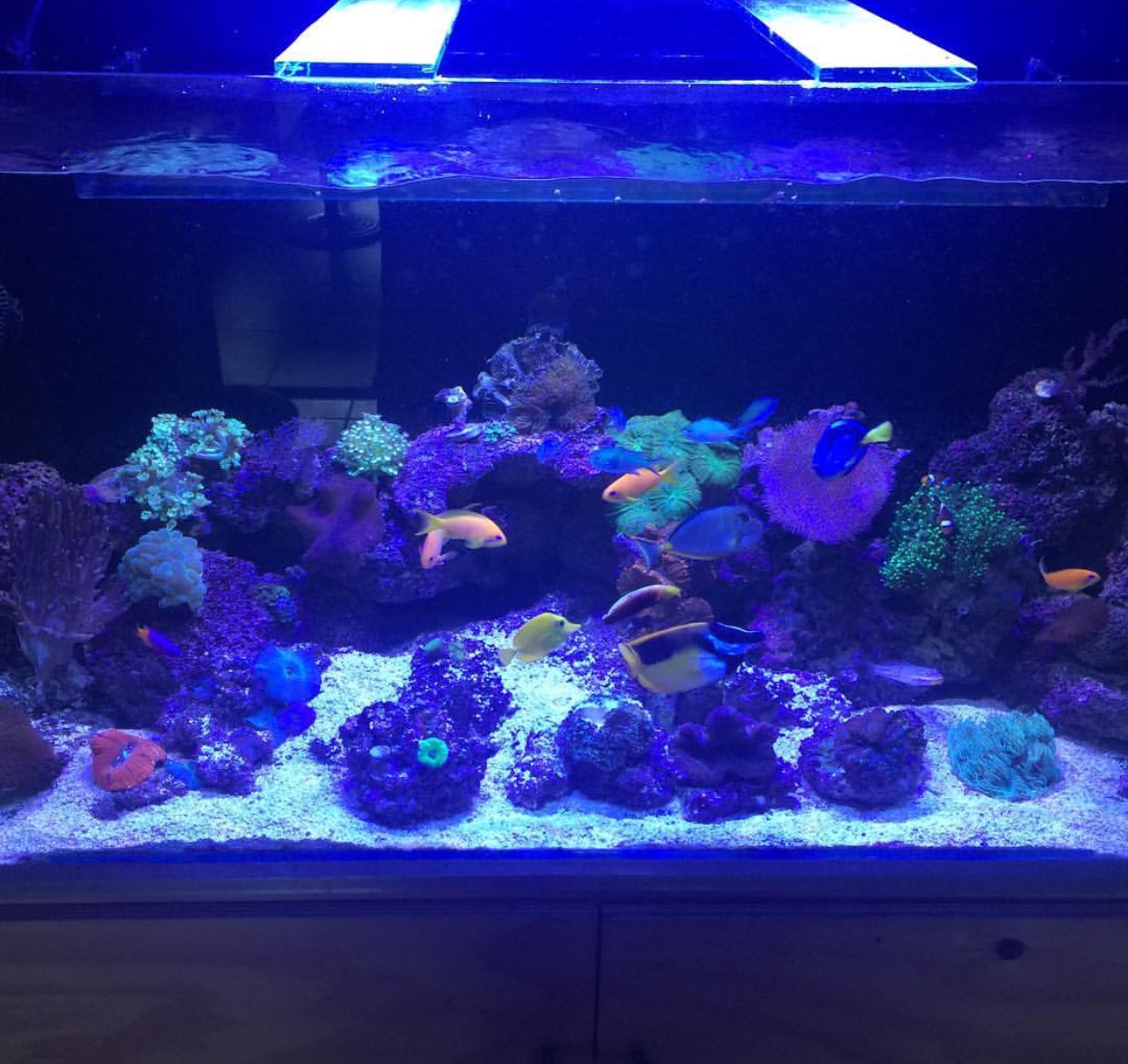 Natural Seawater (Sea Water) Supplier NSW Delivered Nationwide